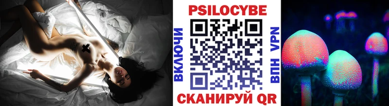 Псилоцибиновые грибы Psilocybe  Купить  Купино 